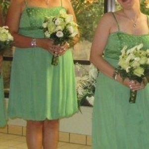 David’s Bridal size 16 green dress to the knee